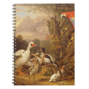 A Macaw, Ducks, Parrots and Other Birds in a Lands Notebook