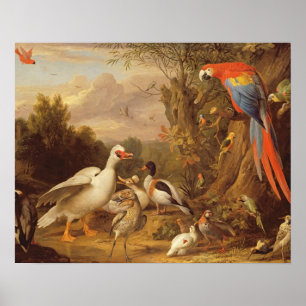 A Macaw, Ducks, Parrots and Other Birds in a Lands Poster