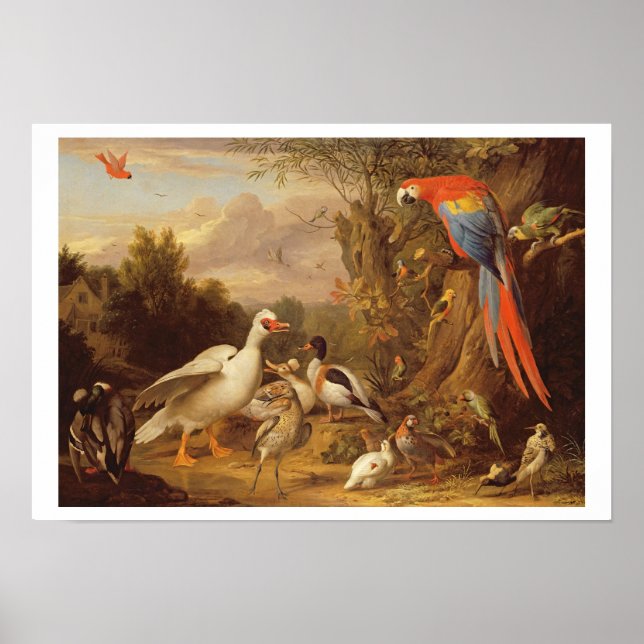 A Macaw, Ducks, Parrots and Other Birds in a Lands Poster (Front)