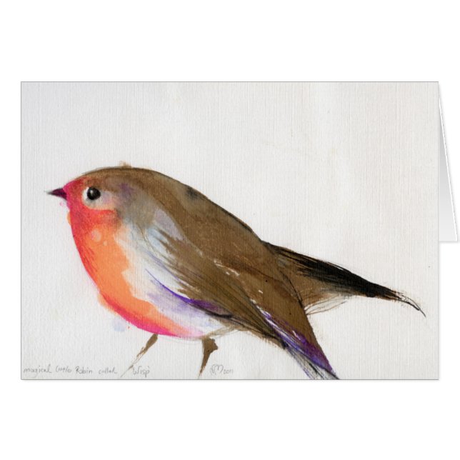 A magical little robin called Wisp 2011 (Front Horizontal)