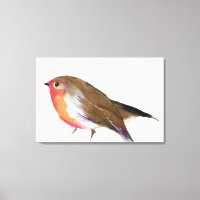 A magical little robin called Wisp 2011