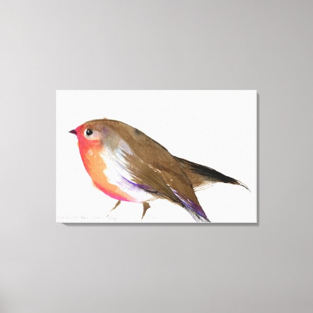 A magical little robin called Wisp 2011 Canvas Print (Front)