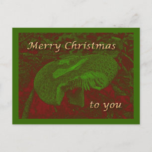 A Magical Mystical 'Shroom for Christmas Holiday Postcard