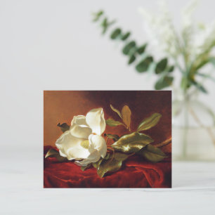 A Magnolia on Red Velvet, famous painting Postcard