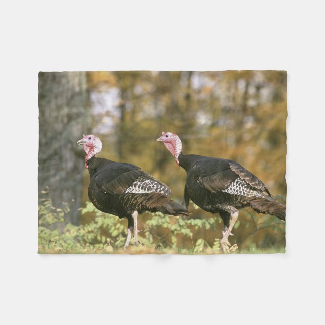 A male Female Turkey Pair Photograph in Fall Fleece Blanket (Front (Horizontal))