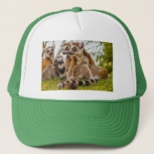 a male lemur hugs his female on  a Trucker Hat
