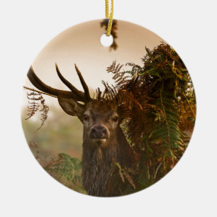 A Male Red Deer Blends in London’s Richmond Park Ceramic Tree Decoration
