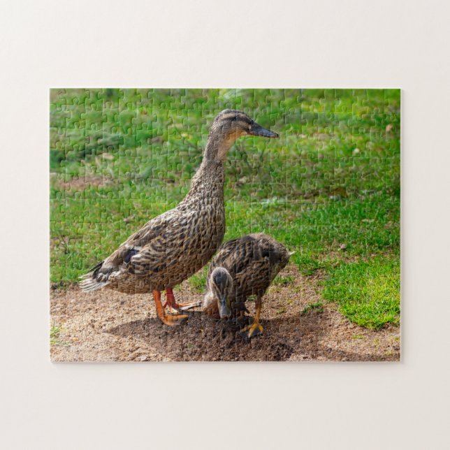 A Mallard Duck and her Duckling Jigsaw puzzle (Horizontal)