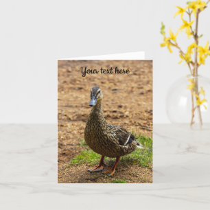 A Mallard Duck Greeting card