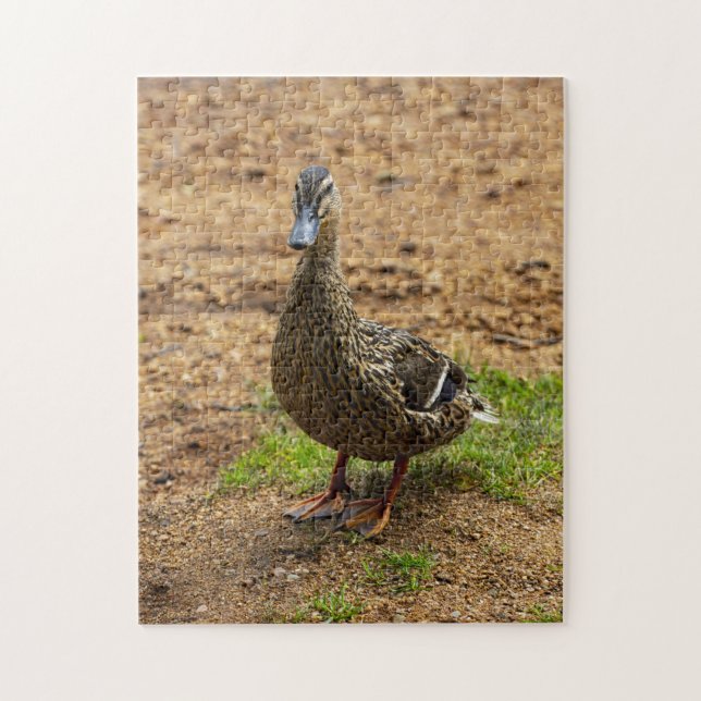 A Mallard Duck Jigsaw puzzle (Vertical)