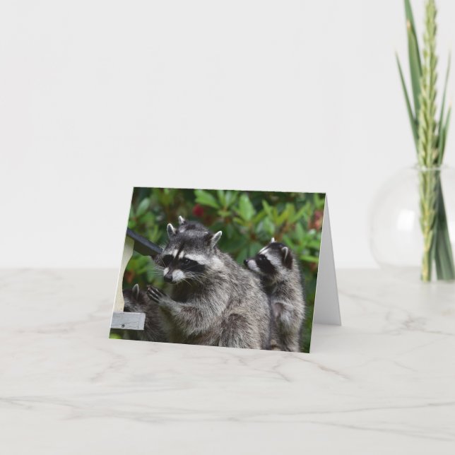 A Mama Racoon and her Baby Card (Front)