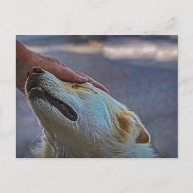 A man and his dog, postcard (Front)