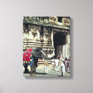 A man being blessed by an elephant canvas print