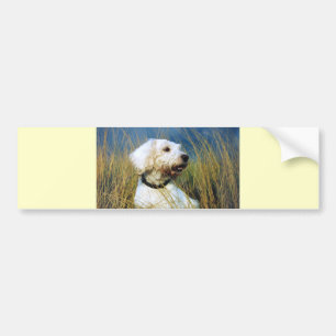 A Man's Best Friend Bumper Sticker