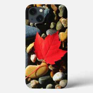 A Maple leaf on a Rock Background iPhone 13 Case