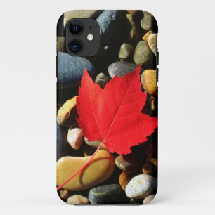 A Maple leaf on a Rock Background iPhone 11 Case