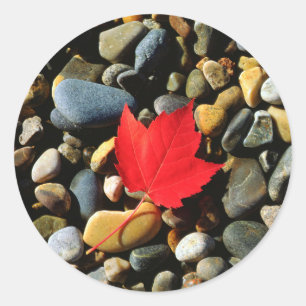 A Maple leaf on a Rock Background Classic Round Sticker