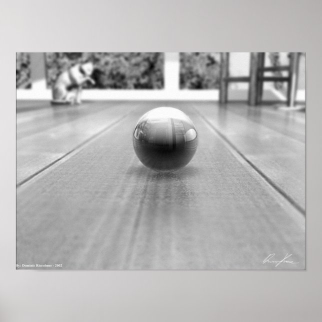 A Marble's World - Black And White Poster (Front)