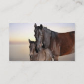 A mare and her baby foal business card (Back)