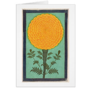 A Marigold, from the Small Clive Album (w/c on pap