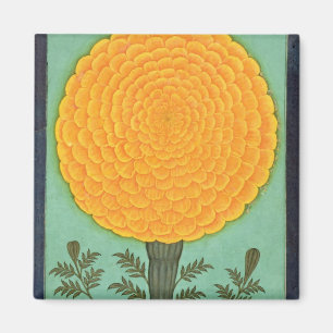 A Marigold, from the Small Clive Album (w/c on pap Magnet