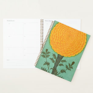 A Marigold, from the Small Clive Album (w/c on pap Planner