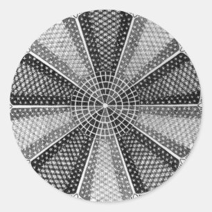 A Marine Diatom Classic Round Sticker