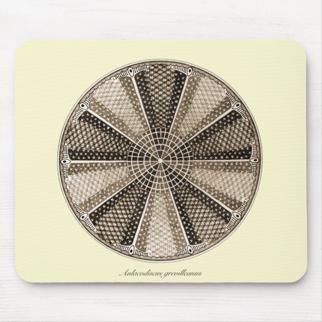 A Marine Diatom Mouse Mat (Front)