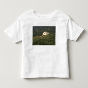 A Marine scores a direct hit Toddler T-Shirt