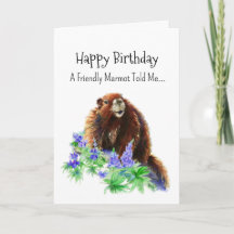 A Marmot Groundhog Personality Birthday Fun Animal
