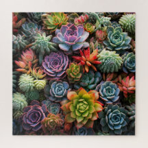 A Mass of Succulents