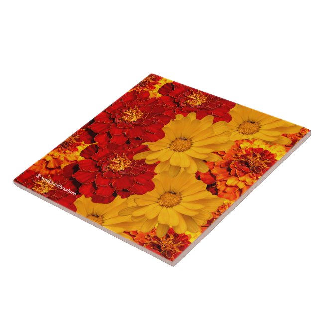 A Medley of Red Yellow and Orange Marigolds Tile (Side)