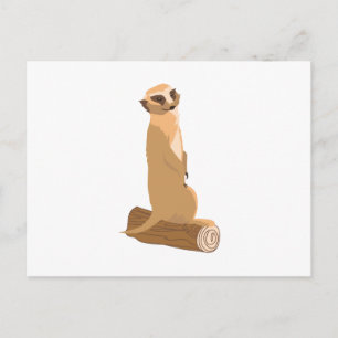 A Meerkat Postcard