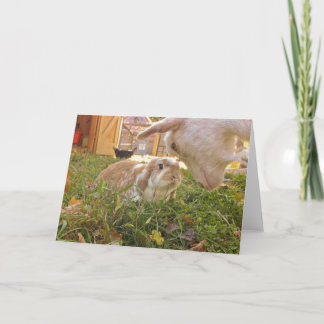A Meeting of the Minds Greeting Card
