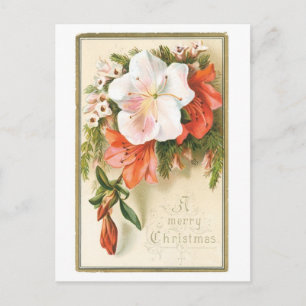 A Merry Christmas Flower Holiday Postcard
