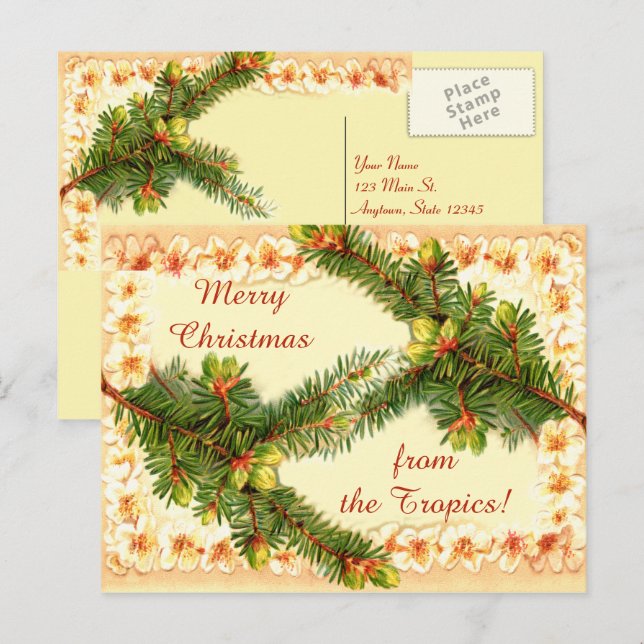 A Merry Christmas Vintage Postcard (Front/Back)