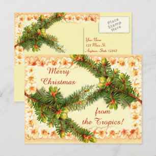 A Merry Christmas Vintage Postcard