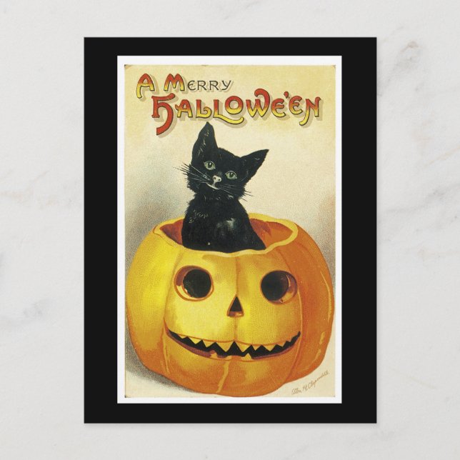A Merry Haloween Kitten Holiday Postcard (Front)