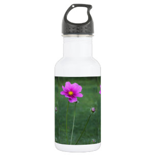 A Mexican Aster 532 Ml Water Bottle