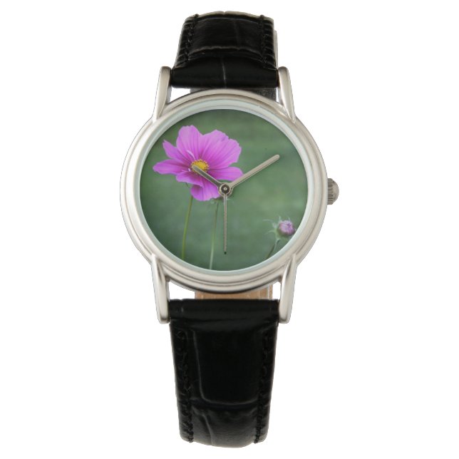 A Mexican Aster Watch (Front)