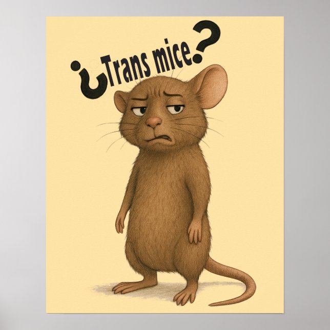 A mice confused by dumb statement poster (Front)