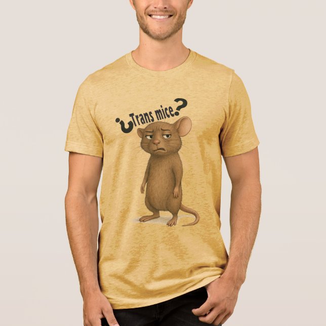 A mice confused by dumb statement Tri-Blend shirt (Front)