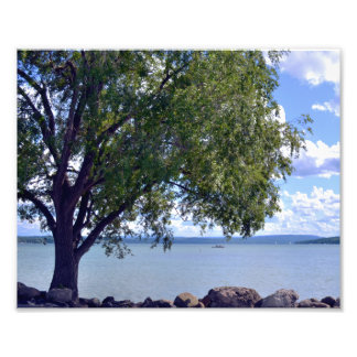 A MIDSUMMER'S AFTERNOON AT THE LAKE. PHOTO PRINT
