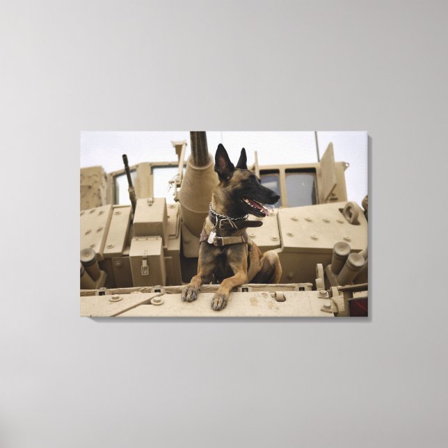 A military working dog sits on a M2A3 Canvas Print (Front)