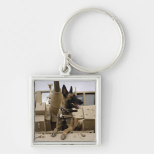 A military working dog sits on a M2A3 Key Ring