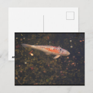 A Million Wishes Postcard