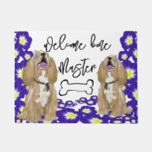 A Miniature cocker spaniel Welcome home