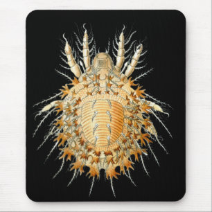 A Mite Mouse Mat