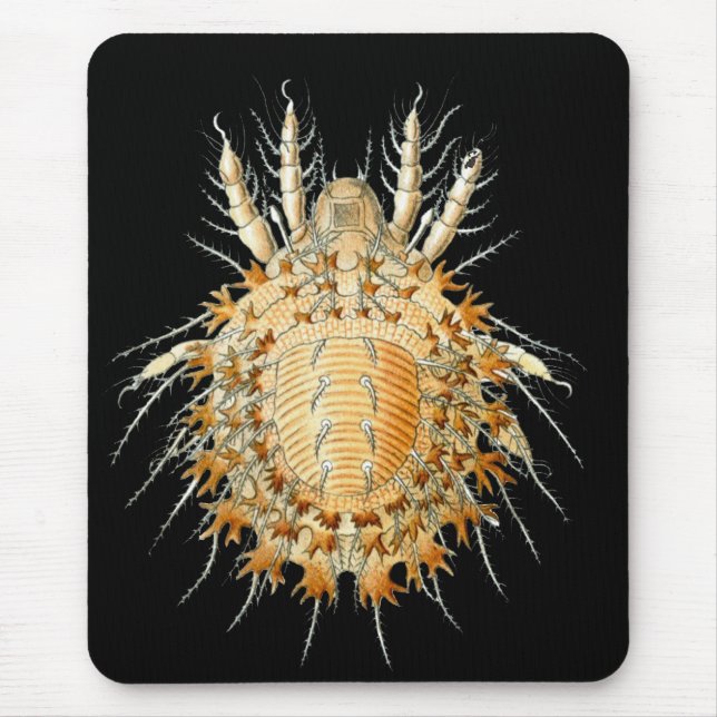 A Mite Mouse Mat (Front)