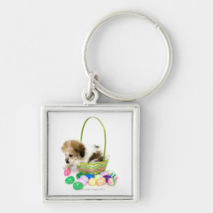 A mixed breed puppy sitting in an Easter basket Key Ring
